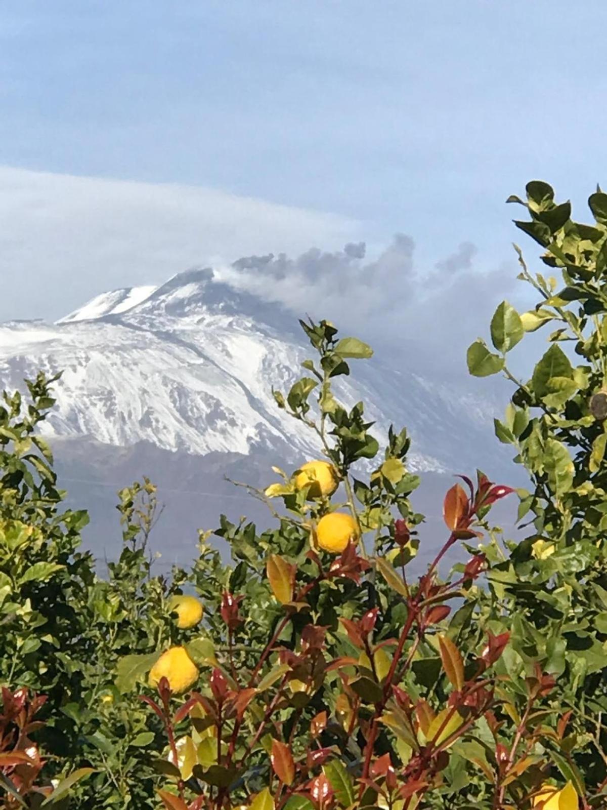 Vista Mare Etna Appartamento Acireale